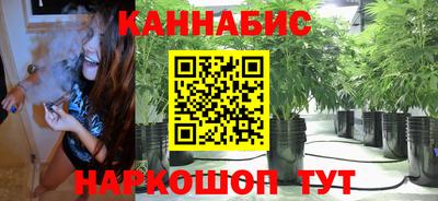 сатива Абинск