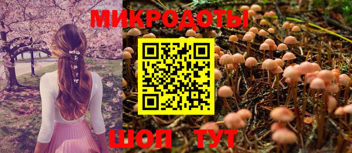 Псилоцибиновые грибы Cubensis  купить   Азнакаево  Вход с VPN 