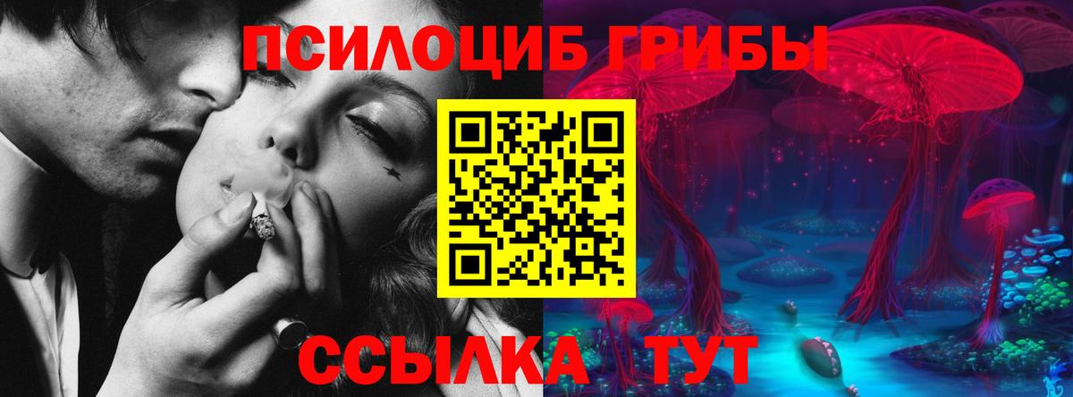 Псилоцибиновые грибы MAGIC MUSHROOMS Азнакаево